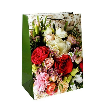 Пакет бумажный 40*55*24см вертикальный матовый Биология 26-031 (12/144)