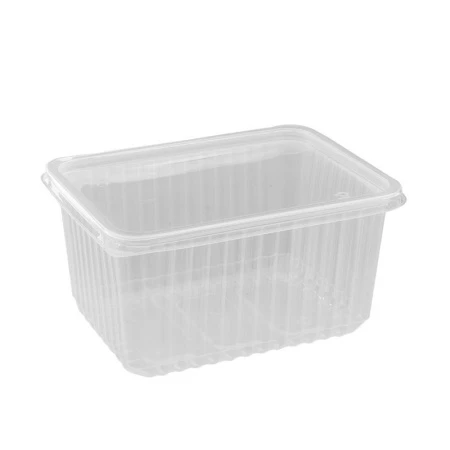 Контейнер одноразовый 1500мл 179*132*94мм полистирол прямоугольный прозрачный с крышкой (450)