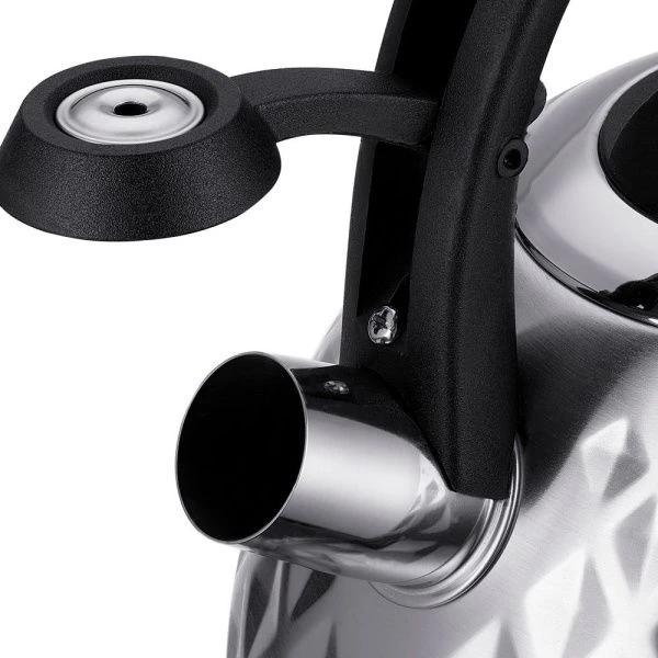 Чайник со св. нерж сталь 2,6л TEA 86-107  (12)