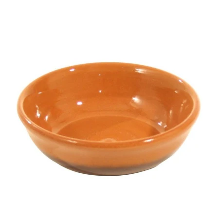 Салатник 300мл керамика тонированный (10)