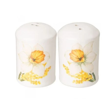 Набор для специй 2пр (солонка, перчница) 4,5*6,5см керамика Sunday (60)