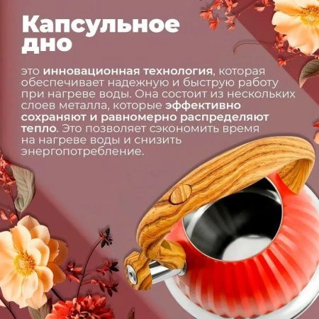 Чайник со свиском 3л нерж.сталь красный, для всех видов плит (12)