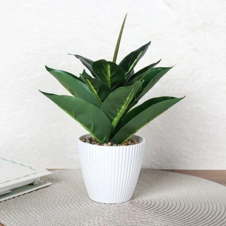 Цветы искусственные Диффенбахия 26см пластик 9090-12 (12/72)