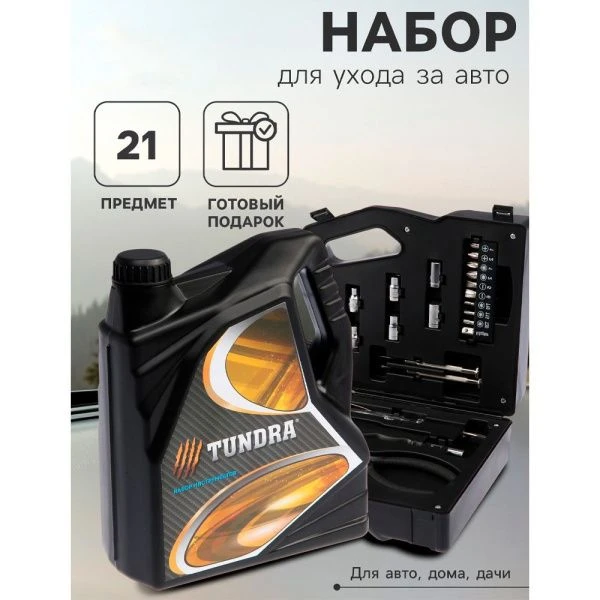 Набор инструментов металл 21пр в пласт.кейсе Канистра TUNDRA (50)