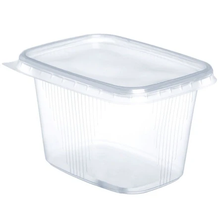 Контейнер одноразовый 500мл 139*102мм полистирол прямоугольный прозрачный с крышкой (500/20/1000) 240-0735 Контейнер одноразовый 500мл 139*102мм полистирол прямоугольный прозрачный с крышкой (500/20/1000) 240-0735
