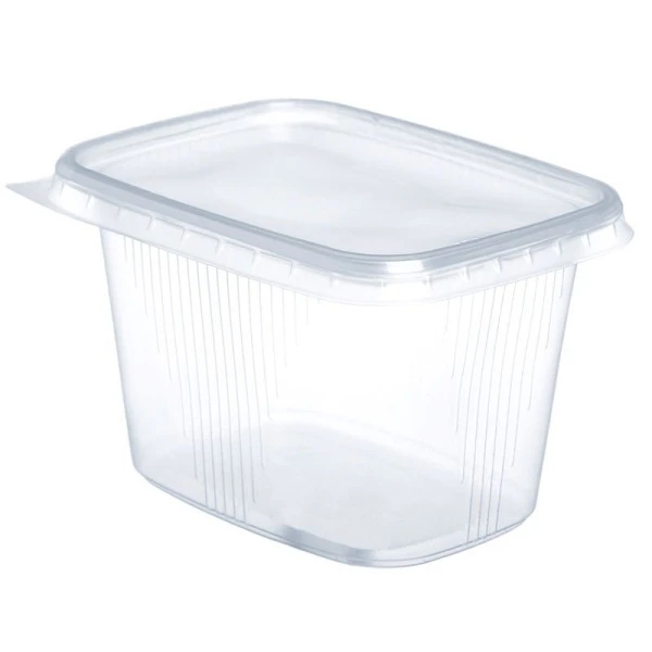 Контейнер одноразовый 500мл 139*102мм полистирол прямоугольный прозрачный с крышкой (500/20/1000) 240-0735 Контейнер одноразовый 500мл 139*102мм полистирол прямоугольный прозрачный с крышкой (500/20/1000) 240-0735