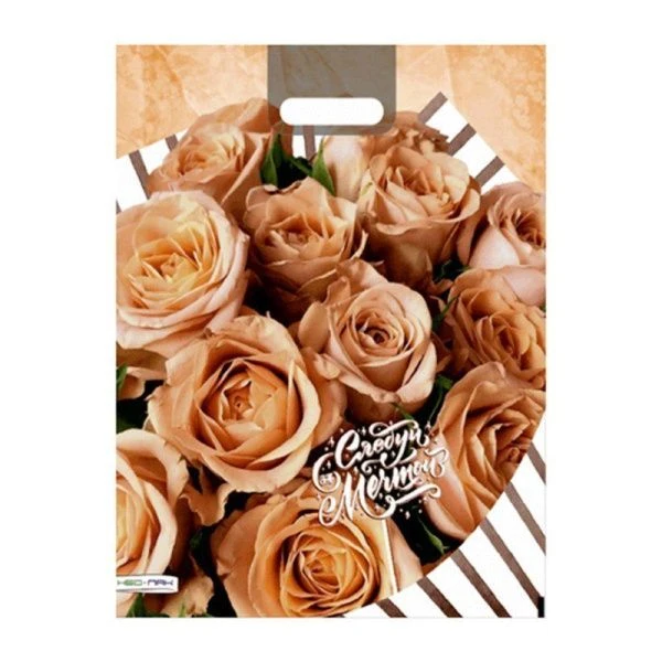 Пакет с вырубной ручкой 38*47см Следуй за мечтой! 160мкм п/э НФ-00022319