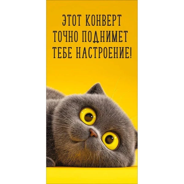 Конверт для денег 16,8*8,4см Этот конверт точно поднимет тебе настроение! (10)