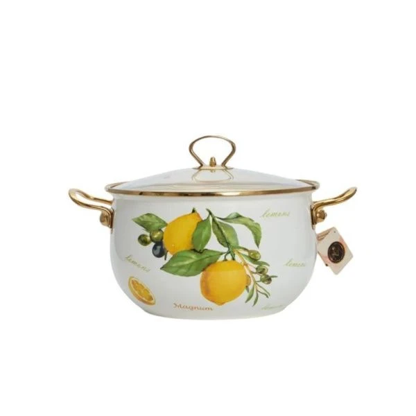 Кастрюля 4л эмаль со стекл.крышкой 20см (6)