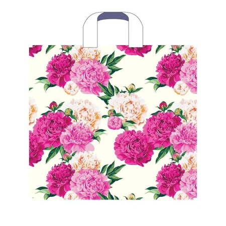 Пакет с петлевой ручкой полиэтилен 38*34+3см Эмма (50/500)