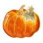 Блюдо сервировочное 22см керамика Тыква Bright pumpkin оранжево-зеленое ANLAF-FDWS-031224-4