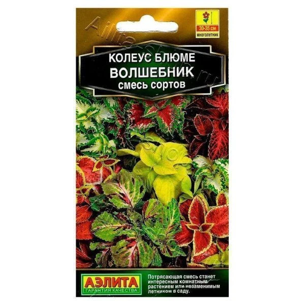 Семена Колеус блюме Волшебник, смесь сортов 5 шт (цветной пакет)