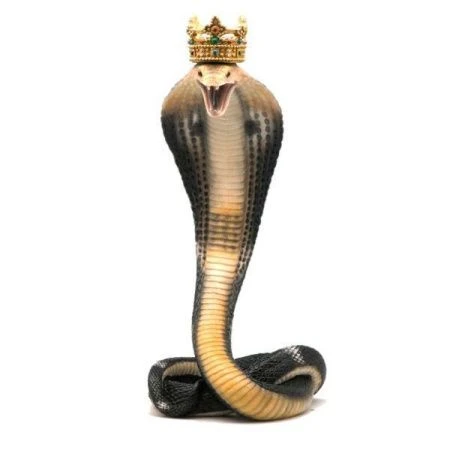 Подсвечник Кобра Н29 см