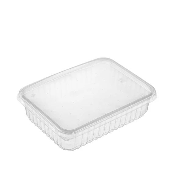 Контейнер одноразовый 750мл полистирол прямоугольный прозрачный с крышкой 179*132*48 (450)