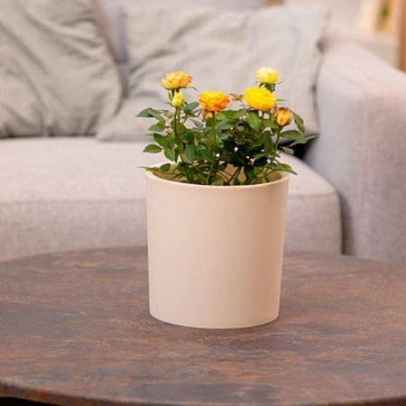 Горшок для цветов 3,9л d182 h180мм пластик Genius молочный (18)