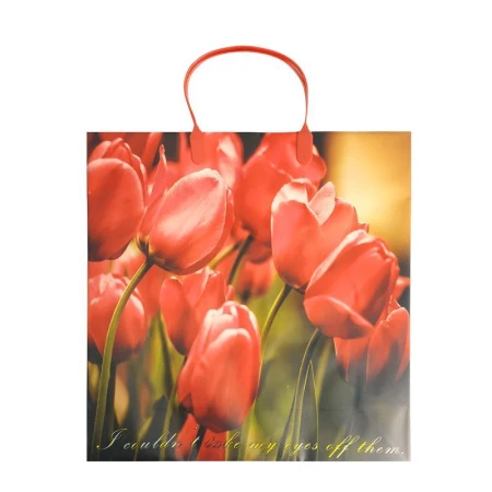 Пакет с пластиковой ручкой 30*30*10см Тюльпаны 02-081 (20/200)