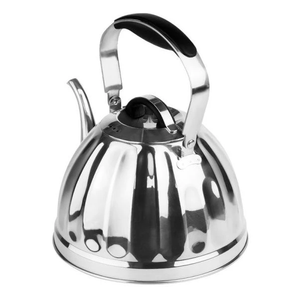 Чайник 2,5л нерж.сталь подвижн.силикон.ручка, индукц.капс.дно LR00-95 (12)