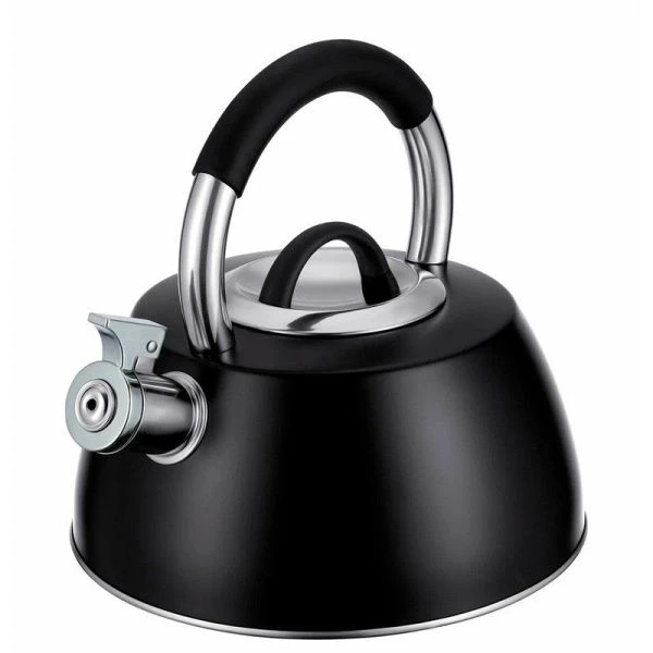 Чайник со свистком 3л нерж.сталь Tea 93-Tea-52 (6)