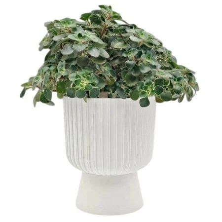 Горшок цветочный 2,8л d17,5см пластик БЕКЕР белый 5PL0733 (8)