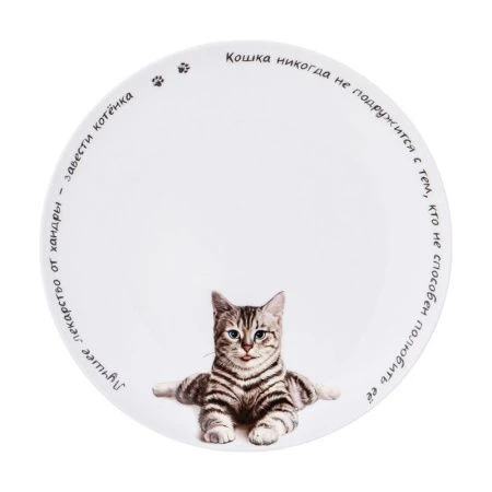 Тарелка мелкая 20,5см фарфор БЕРИ КОТА десертная (48)