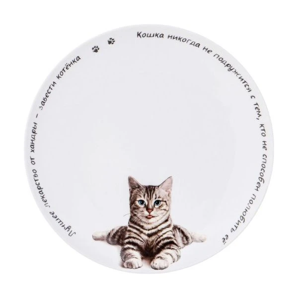 Тарелка мелкая 20,5см фарфор БЕРИ КОТА десертная (48)