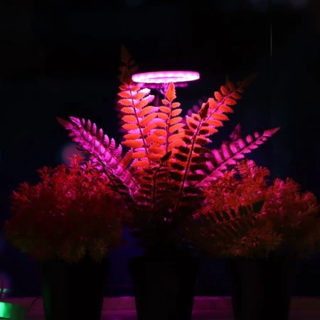 Фитосветильник светодиодный мультиспектральный в горшок 1 круг, 2Вт,5В, USB  Luazon (30) Фитосветильник светодиодный мультиспектральный в горшок 1 круг, 2Вт,5В, USB  Luazon (30)