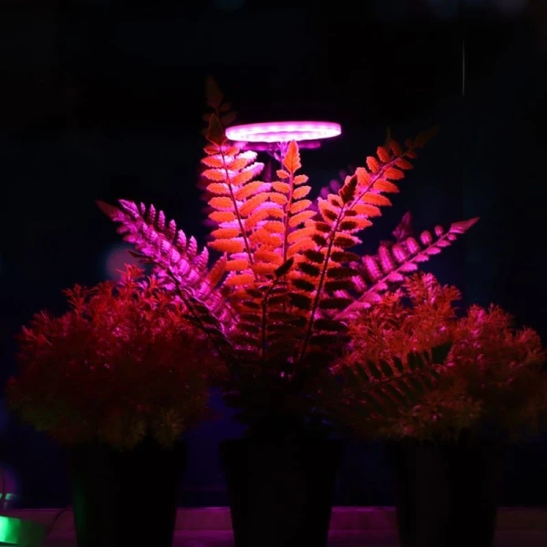 Фитосветильник светодиодный мультиспектральный в горшок 1 круг, 2Вт,5В, USB  Luazon (30)