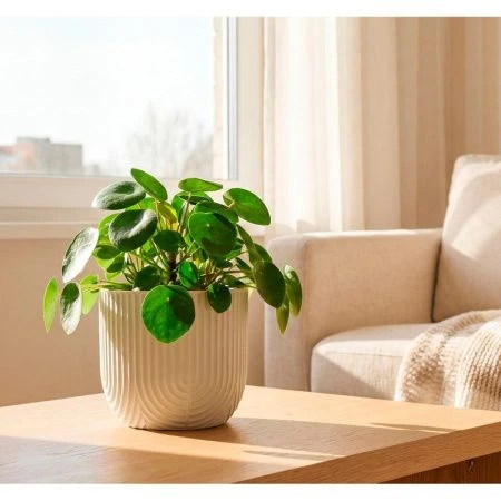 Кашпо 1,9л 180мм пластик РАМОНА со вставкой белый ротанг (15)