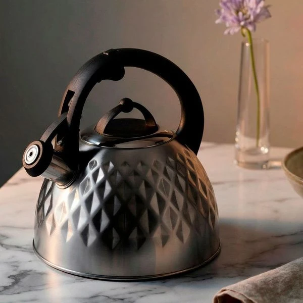 Чайник со св. нерж сталь 2,6л TEA 86-107  (12)