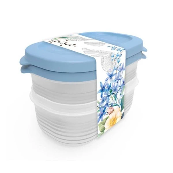 Контейнеры пищевые набор 2пр 650мл пластик ЦВЕТУЩИЙ САД (12)