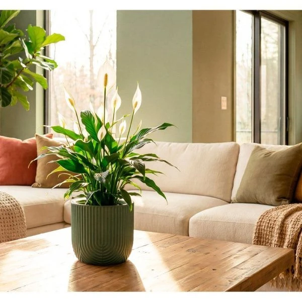 Кашпо 1л 150мм пластик РАМОНА со вставкой нефритовый (12)