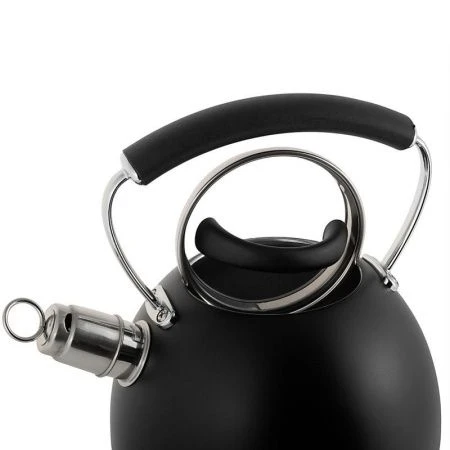 Чайник со свистком 2,5л нерж.сталь ручка soft touch черный