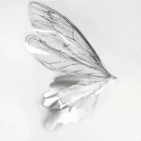 Пленка флористическая набор 40шт Крылья бабочки 45мкр 50*56см серебро (100)