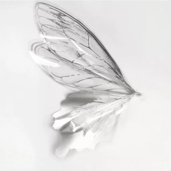 Пленка флористическая набор 40шт Крылья бабочки 45мкр 50*56см серебро (100)