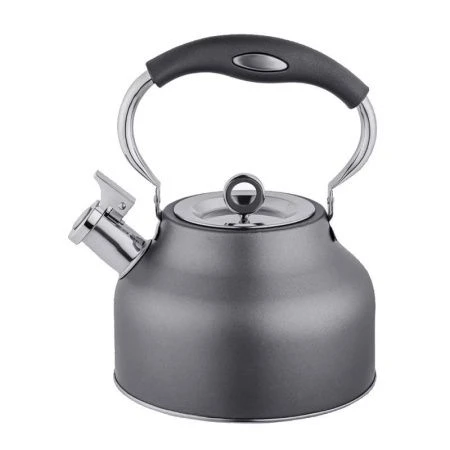 Чайник со свистком 2,5л нерж.сталь TEA 93-TEA-49 (6)
