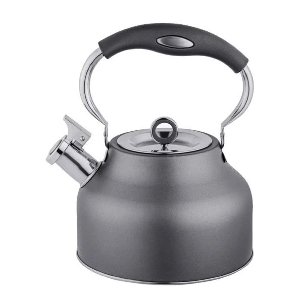 Чайник со свистком 2,5л нерж.сталь TEA 93-TEA-49 (6)