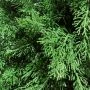 Туя искусственная 90см