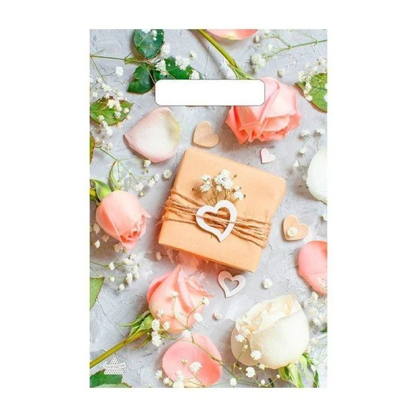 Пакет с вырубной ручкой 20*30см Подарочек 30мкм п/э H00213002