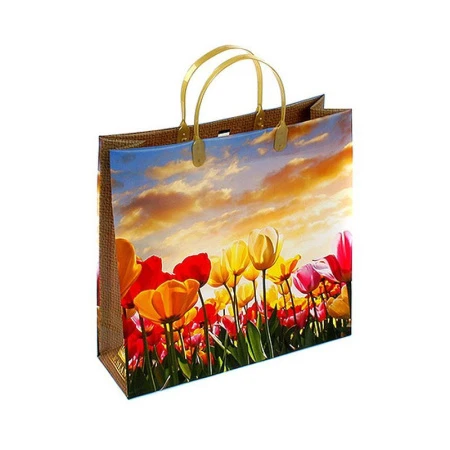 Пакет с пластиковой ручкой полиэтилен 30*30*10см Тюльпаны и небо 19-197 (20/200)