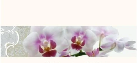 яяяПолотенце махровое 50*90см Романтика модель Орхидея кремовый