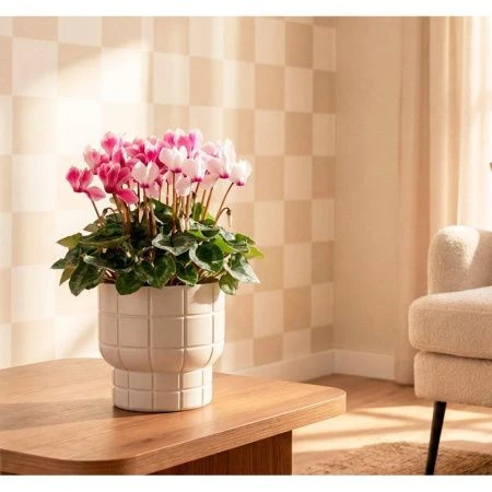 Кашпо 3,7л 220мм пластик КАРЕ со вставкой кремовый (9)