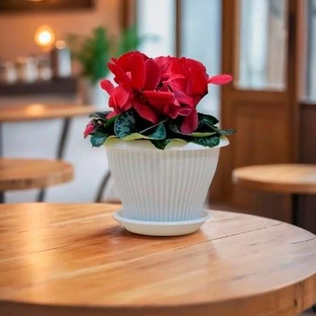 Горшок цветочный 2,9л d22см пластик ГАММА ПЛЮС с поддоном белый 5PL0706 (24)