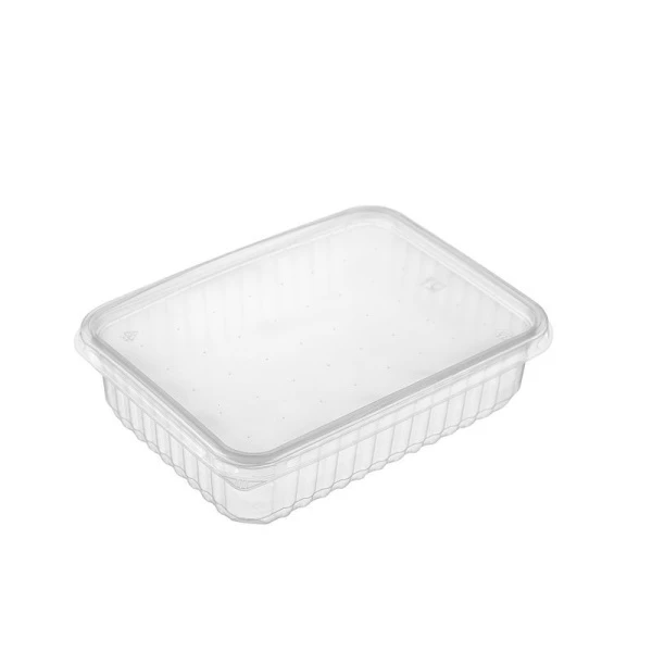 Контейнер одноразовый 500мл 179*132*39мм полистирол прямоугольный прозрачный с крышкой (50/450)