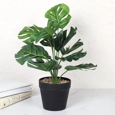 Цветочная композиция Монстера 42 см  ZH-008 (48)