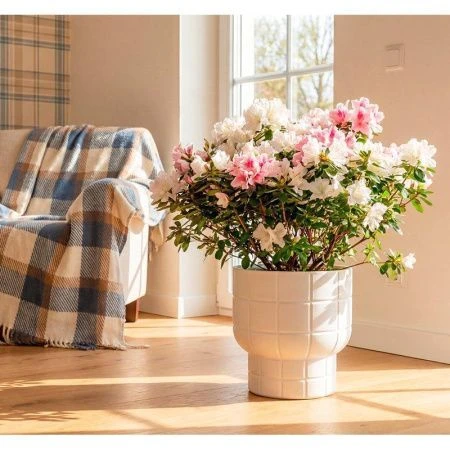 Кашпо 7,8л 280мм пластик КАРЕ со вставкой белый (1)