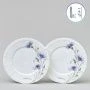 Тарелки мелкие набор 2шт 20,5см фарфор ВАСИЛЬКИ десертные (24)