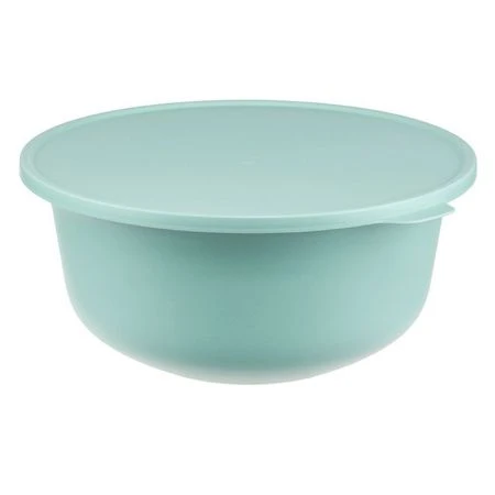 Миска 4,3л пластик ТЭСТИ с крышкой морская волна (12)