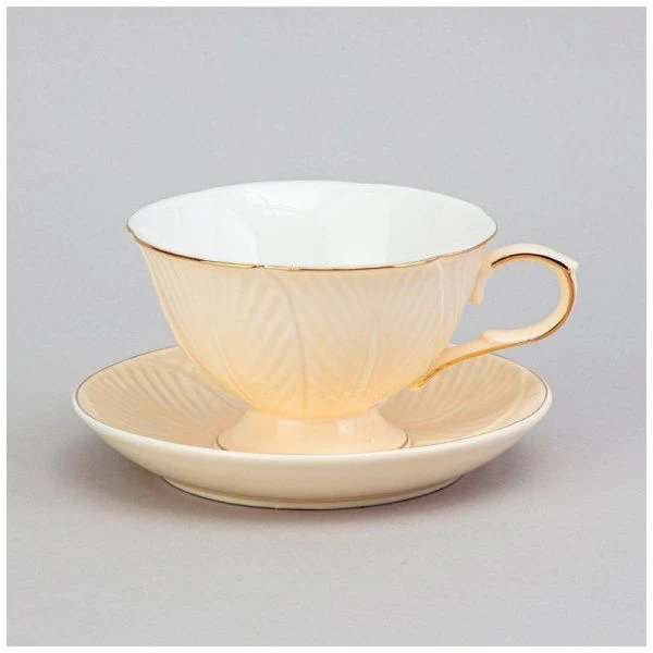 Чайный набор 4пр фарфор Top Style на 2 персоны 250мл 2CS3A-SY126G (12)