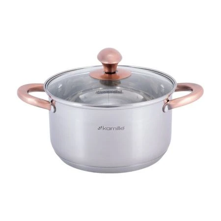 Кастрюля 5л нерж.сталь со стекл.крышкой 24см медными ручками индукция арт.4934 (4)
