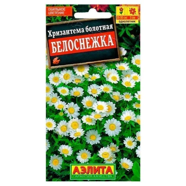 Хризантема Белоснежка (2028; .200.10.09) 0,1 г